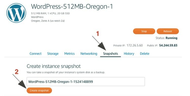 Create a Snapshot from AWS LightSail Console