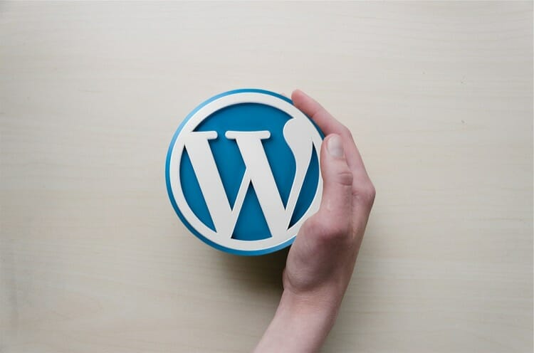 How to Choose the Best WordPress Theme For Your Site? 8 WordPress and Plugin Compatibility For Themes