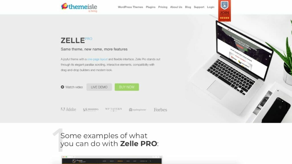 Zelle Pro WordPress Theme From Themeisle