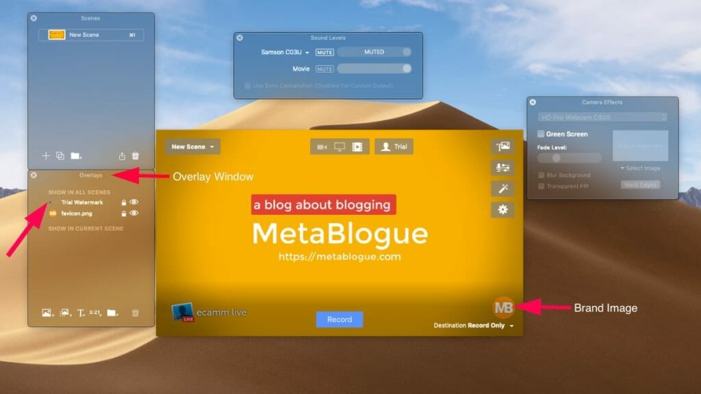 Ecamm Live Brand Image Overlay