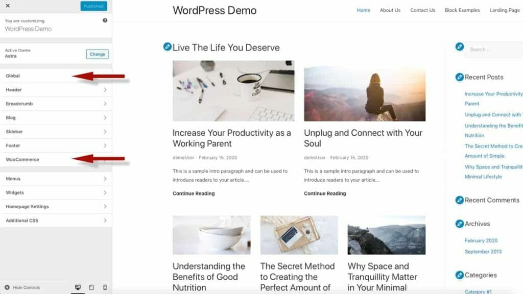 astra theme option in wordpress customizer