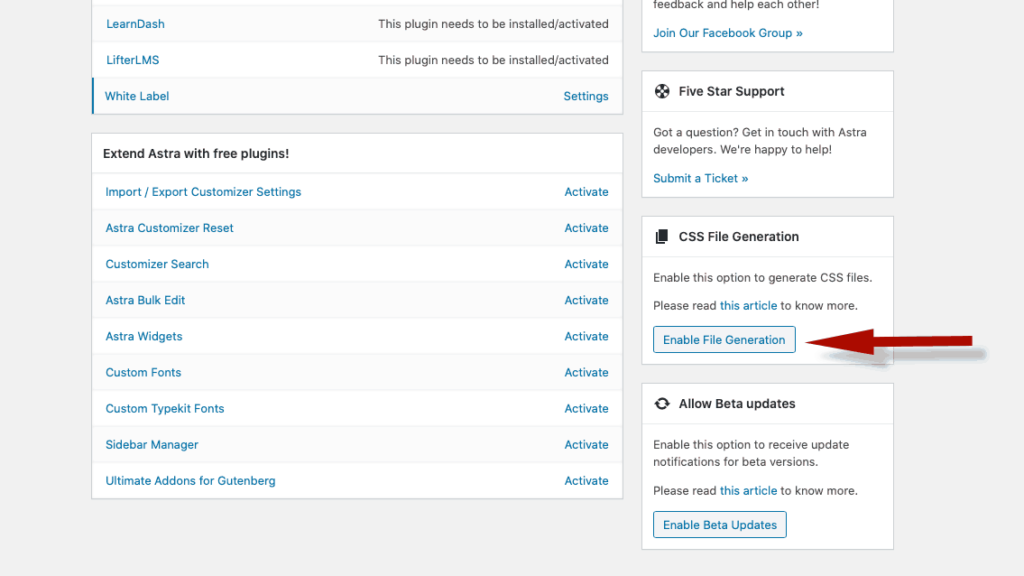 Enable CSS File Generation For Astra WordPress Theme
