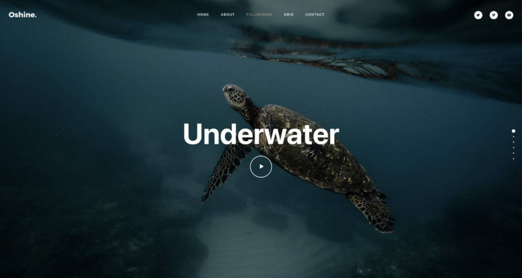 13 Best Video Themes for WordPress To Create Vlogging Sites 2 Oshine Video Themes For WordPress